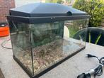 Aquarium 60 liter, Ophalen, Zo goed als nieuw, Leeg aquarium