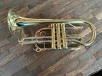 Thomann CR-400 cornet, Ophalen, Gebruikt, Bes-trompet