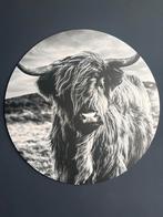 Ronde wanddecoratie - Buffel, Ophalen, Overige materialen, Gebruikt, 75 tot 100 cm