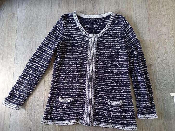 Leuk Vest Blauw Witteveen Maat XL, Kleding | Dames, Truien en Vesten, Gedragen, Maat 46/48 (XL) of groter, Blauw, Ophalen of Verzenden