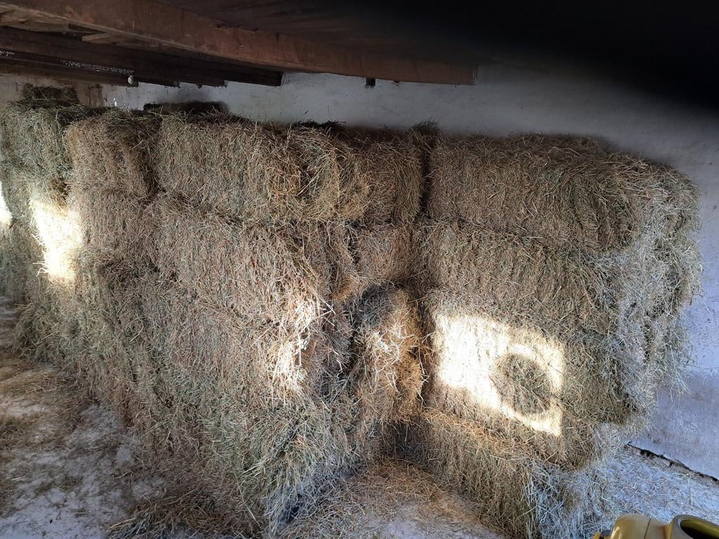 Hooi balen te koop - Ideaal voor vee pakjes hooi, Dieren en Toebehoren, Dierenvoeding, Vee, Ophalen of Verzenden