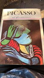 Picasso schilderijen en beschrijvingen, Ophalen of Verzenden