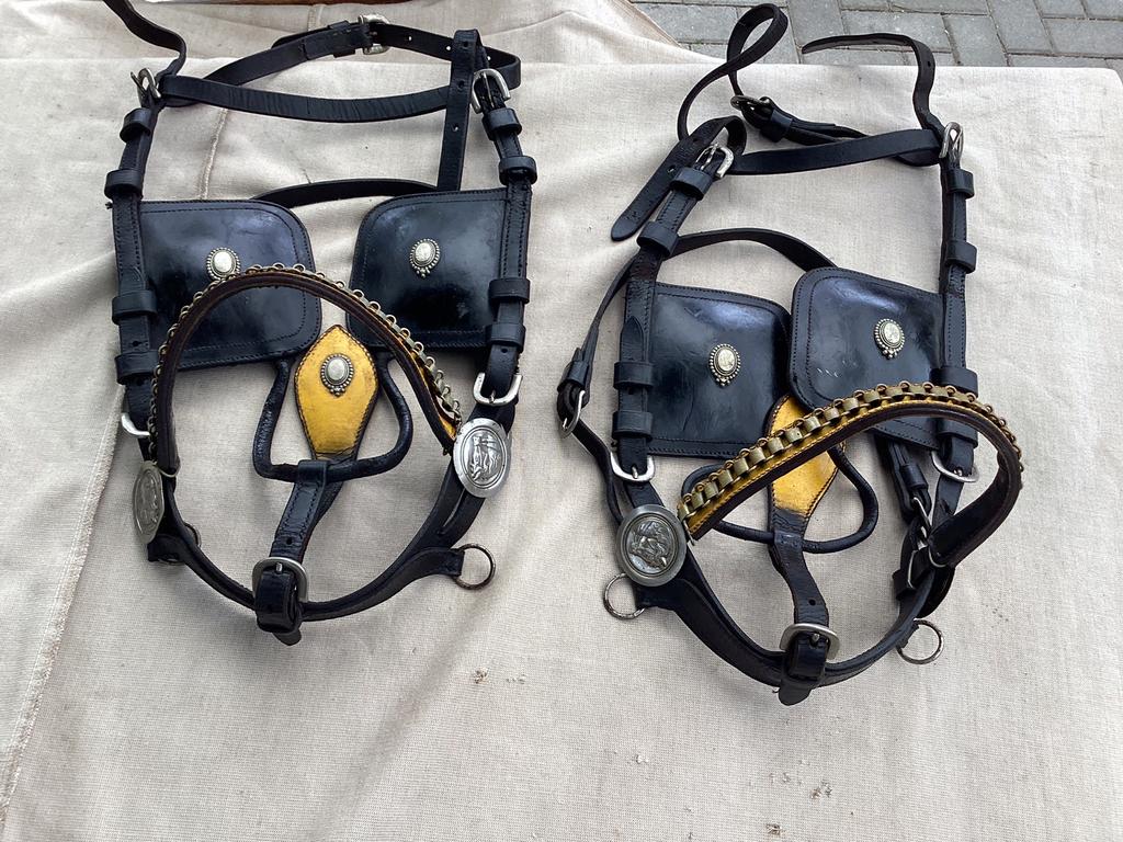 Twee span hoofdstellen. Full, Dieren en Toebehoren, Ophalen of Verzenden, Gebruikt, Overige soorten