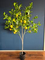 Kunstboom Citroen op stam - 150cm - Zo goed als nieuw, Ophalen of Verzenden, Zo goed als nieuw, Binnen