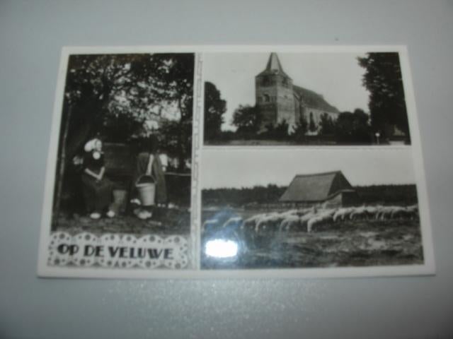 op de veluwe, Ophalen of Verzenden, Voor 1920, Gelopen, Gelderland