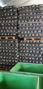 🍓🍓🍓 aardbeien bakken      PER STUK, Ophalen, Minder dan 30 cm