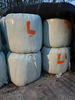 10 midibalen voordroog van september 2025, Dieren en Toebehoren, Dierenvoeding, Ophalen, Vee