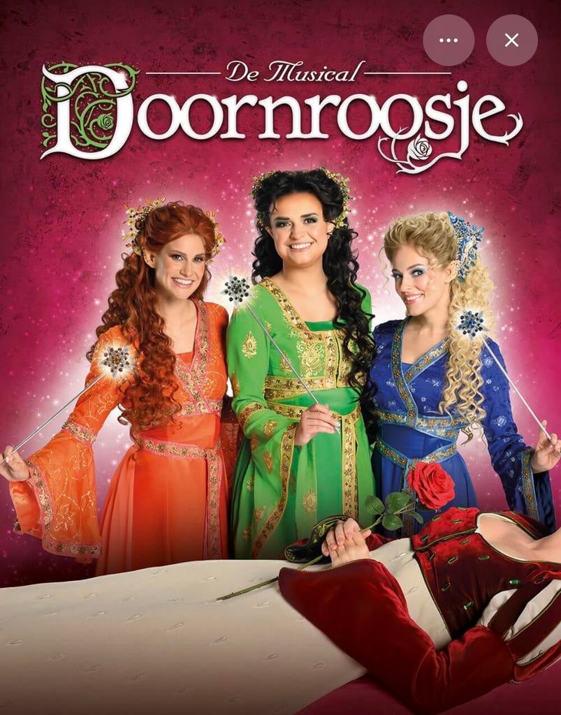 2 combi tickets K3 musical Doornroosje incl dag Plopsaland, Twee personen, Juni, Arrangement