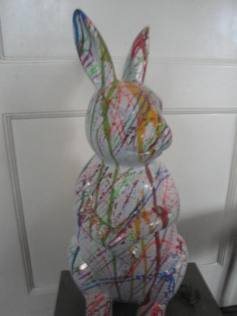 haas verschillende kleuren, Huis en Inrichting, Woonaccessoires | Overige, Nieuw, Ophalen of Verzenden