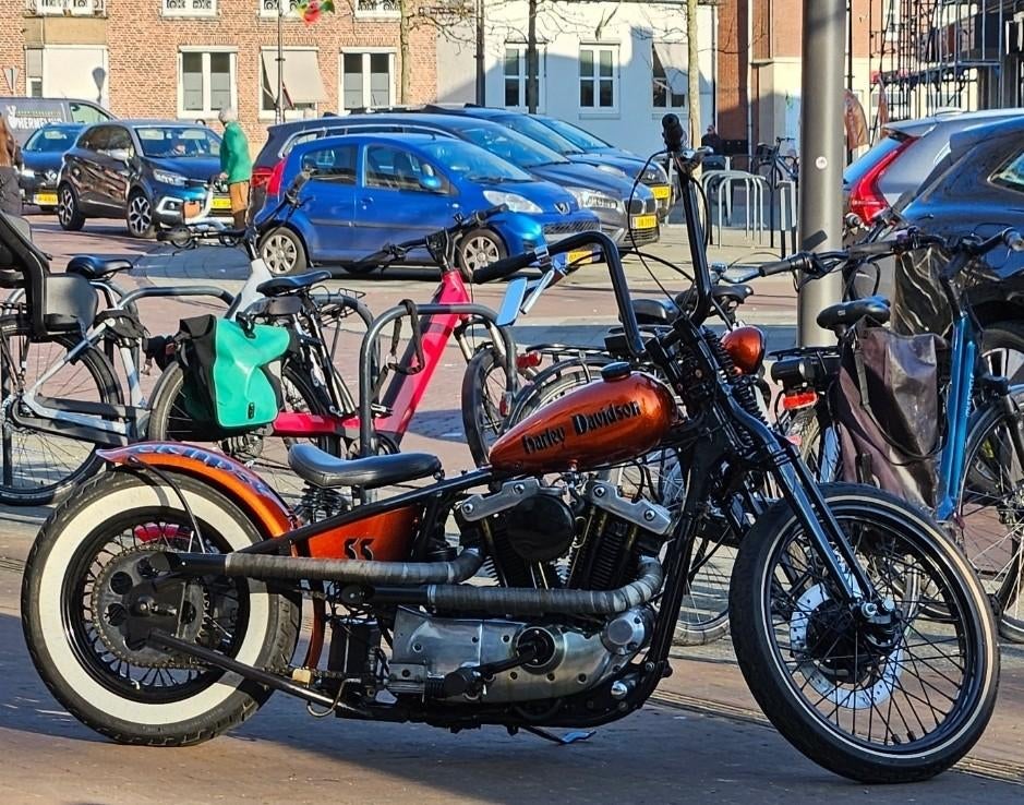 Harley-Davidson Sportster 1000cc hardtail, Motoren, Particulier
