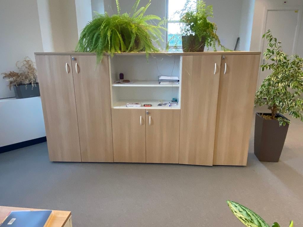 Kantoor Kasten - 300 EURO, Archief en Opbergen, Ophalen, Gebruikt, Kast