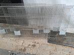 Broedkooi panelen, Dieren en Toebehoren, Vogels | Hokken en Kooien, Ophalen, Aluminium, Broedkooi of Kweekkooi
