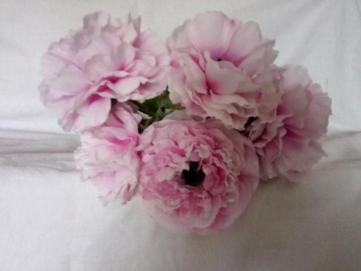 diverse kunst planten, Huis en Inrichting, Woonaccessoires | Kunstplanten en Kunstbloemen, Zo goed als nieuw, Ophalen of Verzenden