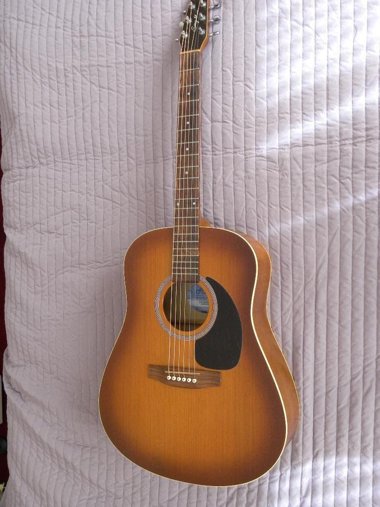 Seagull Entourage Rustc QI, Ophalen of Verzenden, Zo goed als nieuw, Western- of Steelstringgitaar, Met koffer