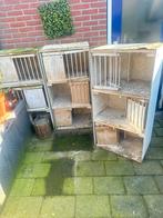 Duivenhokken, Meerdere dieren, Postduif