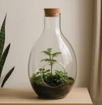 Glazen Terrarium / Flessentuin met Kurk, Overige kleuren, 50 tot 75 cm, Nieuw, Ophalen of Verzenden