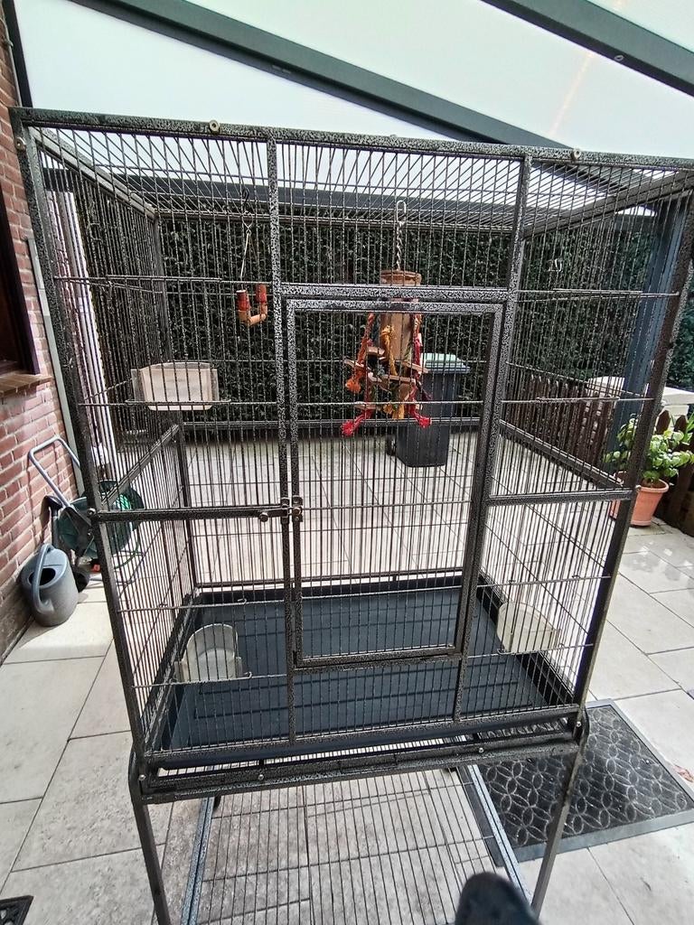 Vogel - /parkietenkooi te koop, Dieren en Toebehoren, Vogels | Hokken en Kooien, Ophalen, Zo goed als nieuw, Metaal, Vogelkooi