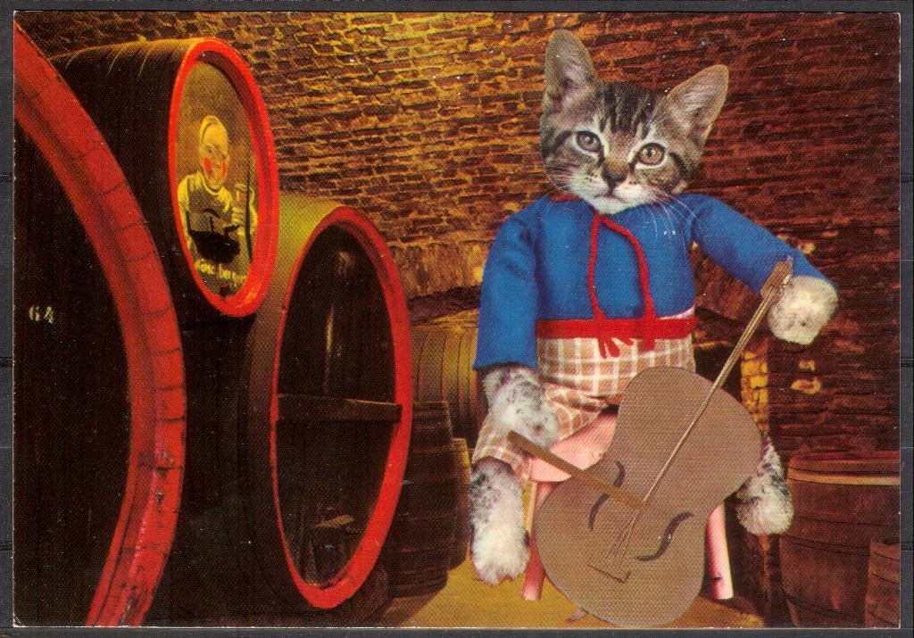 ansichtkaart van een Kat, Verzenden, 1960 tot 1980, Ongelopen, Hond of Kat