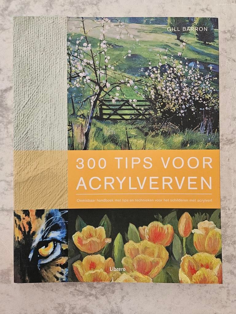 300 Tips voor Acrylverven – Gill Barron, Ophalen of Verzenden, Zo goed als nieuw, Tekenen en Schilderen