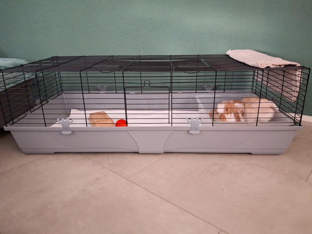 Konijnenkooi 140 breed nieuwstaat, Dieren en Toebehoren, Knaagdieren en Konijnen | Hokken en Kooien, Kooi, 110 cm of meer, Zo goed als nieuw