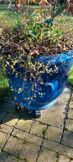 Grote blauwe aardewerk pot met diverse planten, Ophalen, Gebruikt, 40 cm of meer, Rond