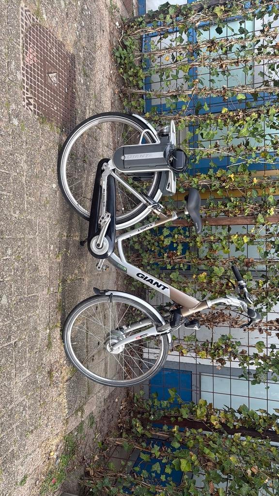 Giant twist, Ophalen of Verzenden, Gebruikt, Aanhangfiets