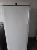 Vrieskast Libebherr No frost A ++, Ophalen of Verzenden, 60 tot 90 cm, 160 cm of meer