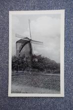 Zeddam-Montferland. Kruitmolen, Ophalen of Verzenden, 1940 tot 1960, Ongelopen, Gelderland