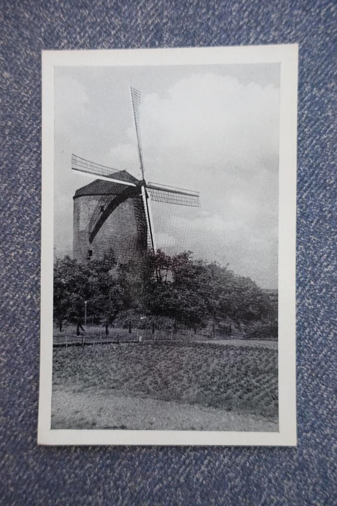 Zeddam-Montferland. Kruitmolen, Verzamelen, Ansichtkaarten | Nederland, Ongelopen, Gelderland, 1940 tot 1960, Ophalen of Verzenden