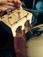 Muizenval, rattenval, gatenval, Ophalen of Verzenden, Nieuw, Ongediertebestrijding