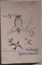 Oude felicitatiekaart met uil en andere vogels, Ophalen of Verzenden, 1960 tot 1980, Gelopen, Feest(dag)