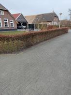 Beukenhaag, Tuin en Terras, Ophalen of Verzenden, IJzer, Spijlenhekwerk