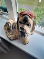 antieke hond, Ophalen