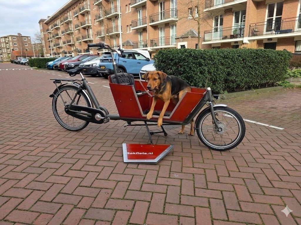 Cargobike long hondenbakfiets met regentent en luik, Fietsen en Brommers, Fietsen | Bakfietsen, Overige merken, Gebruikt, Ophalen of Verzenden