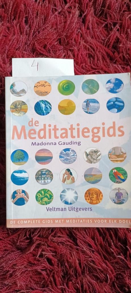 De Meditatiegids - Madonna Gauding, Gelezen, Meditatie of Yoga, Madonna Gauding, Ophalen of Verzenden