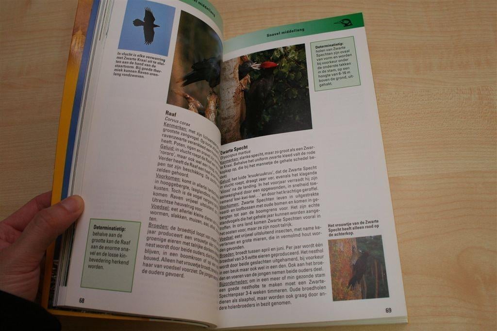 Vogels — Observeren, Herkennen & Beschermen in Beeld, Ophalen of Verzenden, Zo goed als nieuw, Vogels