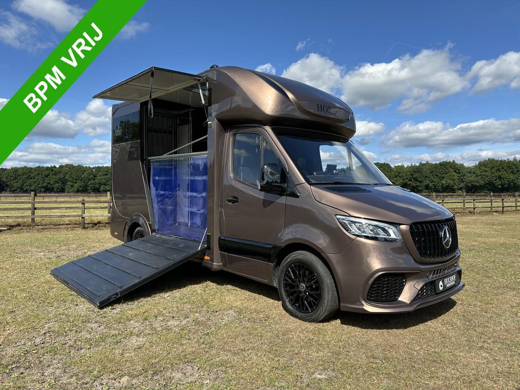 Mercedes-Benz Sprinter 319 AMG 2-paards paardenvrachtwagen B, Gebruikt, Info@hulshof-trading.nl, Overige typen, Hulshof-Trading