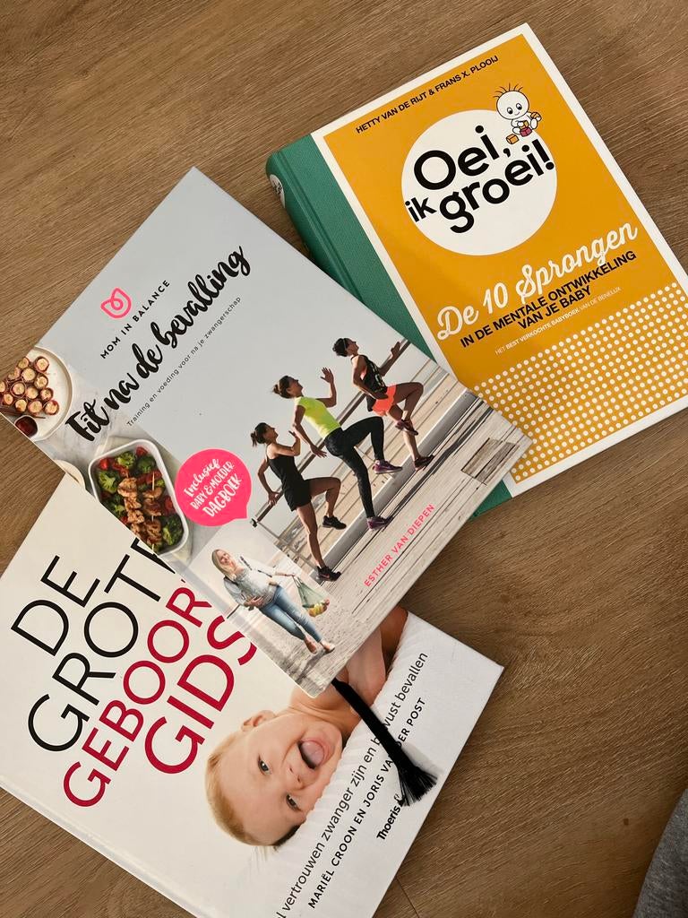 Pakket zwangerschapsboeken / bevalling, Ophalen of Verzenden, Gelezen, Zwangerschap en Bevalling