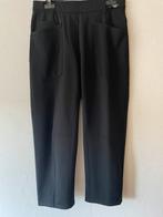 Cambio, Kleding | Dames, Kort, Zwart, Nieuw, Ophalen of Verzenden