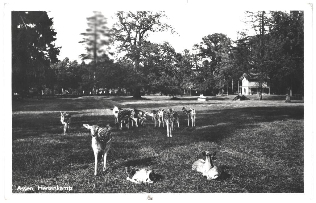 967123 Assen 1949 Hertenkamp Gelopen met zegel