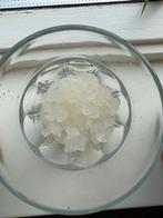 Water kefir (vrije gift), Diversen, Levensmiddelen, Ophalen