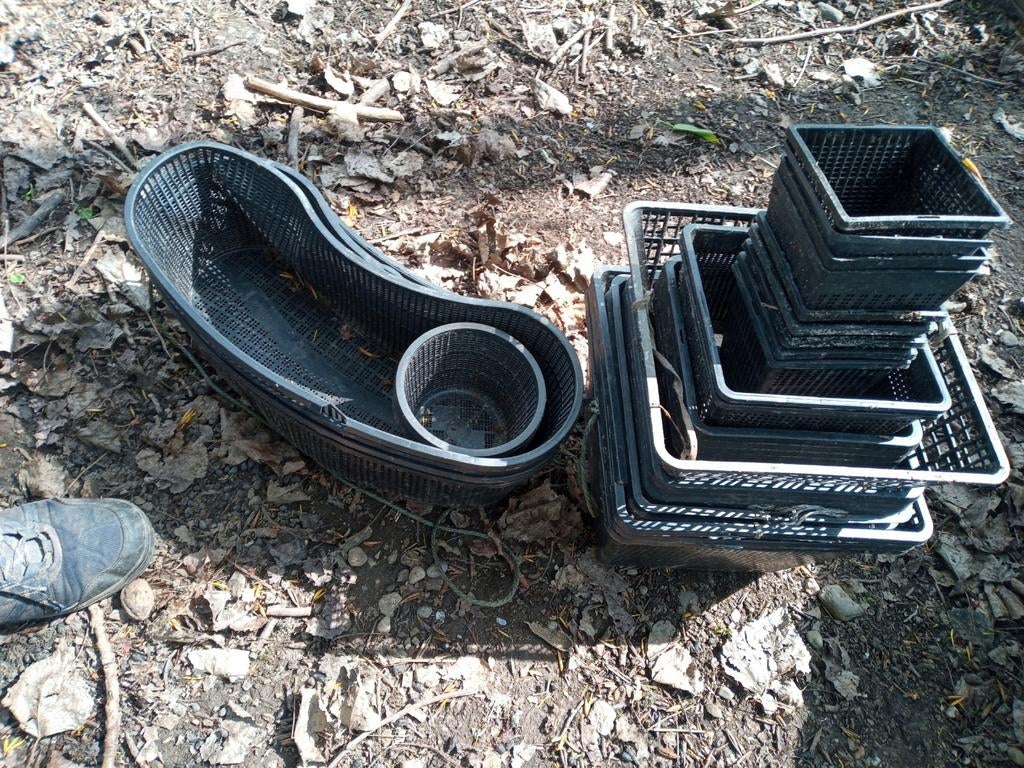 Vijver planten bakjes, Ophalen of Verzenden