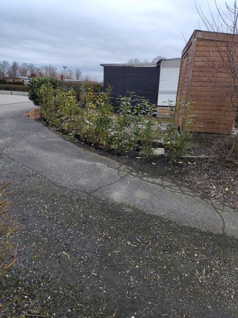 Grote aanbouw, Ophalen of Verzenden