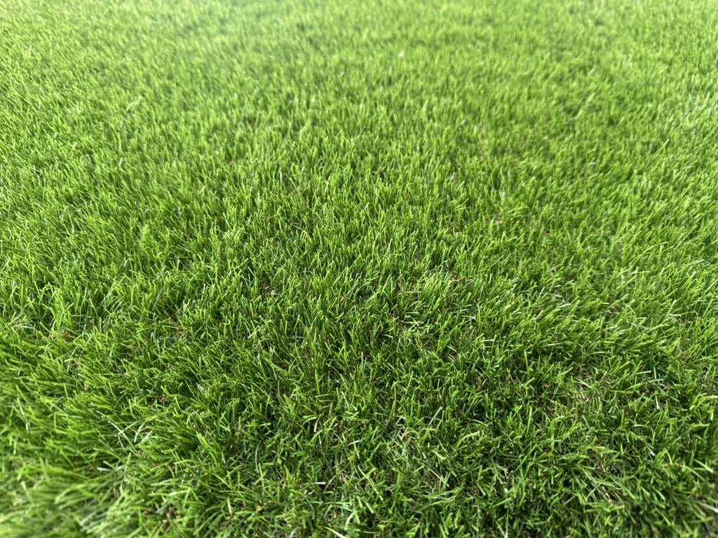 Kunstgras Lux Gano 40mm met Mosdraad! €27.95,- per m2!, Tuin en Terras, Gras en Kunstgras, Kunstgras, Stuntgras, Nieuw, Ophalen of Verzenden