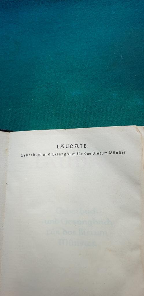 -	Bijbel duitstalig, Ophalen of Verzenden