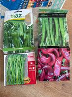 Turkse paprika zaden - - Turk biber tohumu, Ophalen of Verzenden, Voorjaar, Volle zon, Zaad