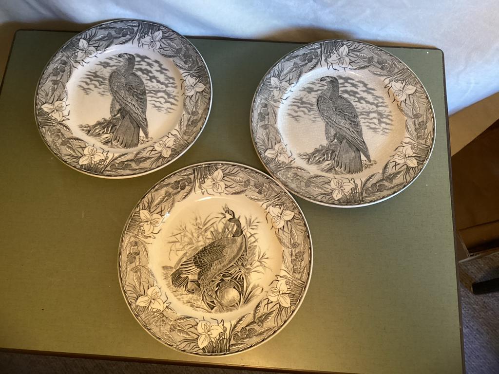 Antieke borden 'The Birds of America' John James Audubon, Ophalen
