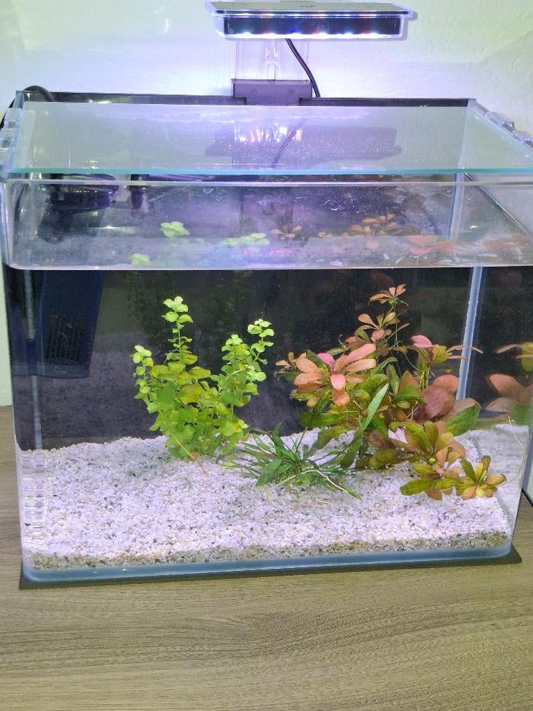 mooi klein aquarium 20 liter compleet, Dieren en Toebehoren, Vissen | Aquaria en Toebehoren, Ophalen, Zo goed als nieuw, Leeg aquarium