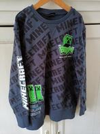 Minecraft sweater, Gebruikt, Trui of Vest, Minecraft, Ophalen of Verzenden