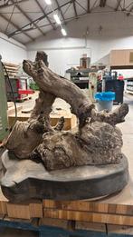 Eucalyptus stronk burl, Ophalen